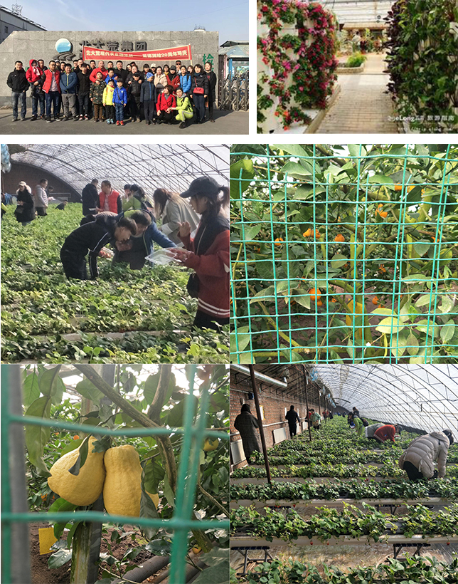 1560936472436945.jpg 2.jpg